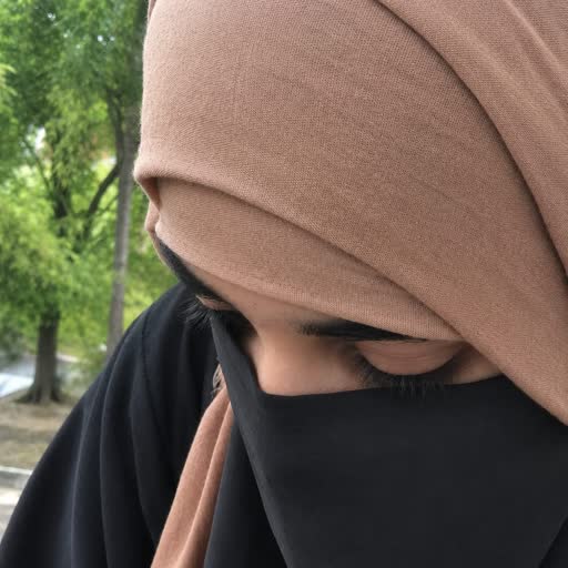 Amira