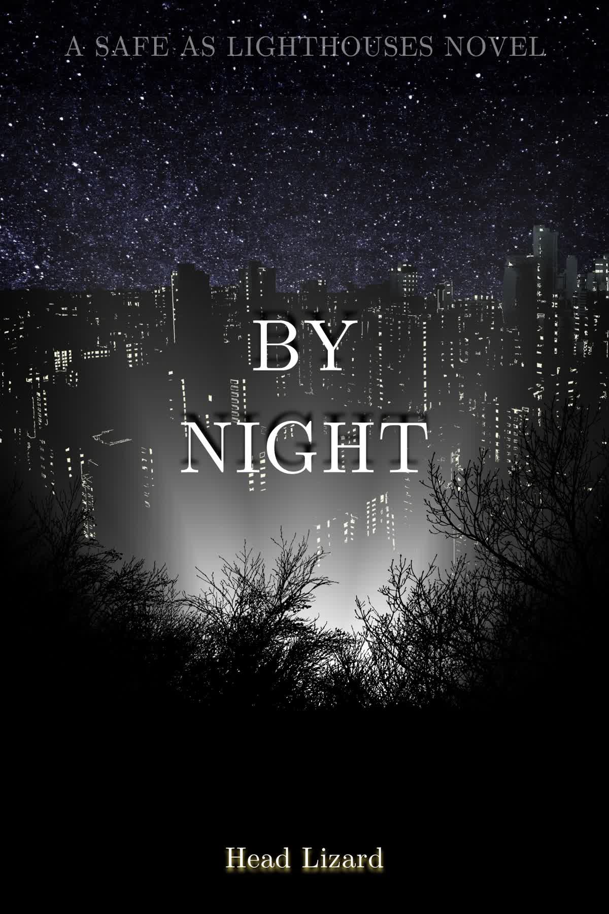Cover art for Safe as Lighthouses: By Night