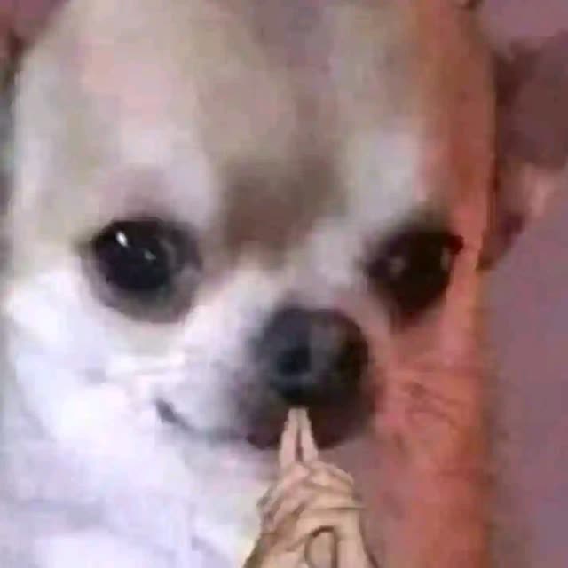 Ellaonjefujames